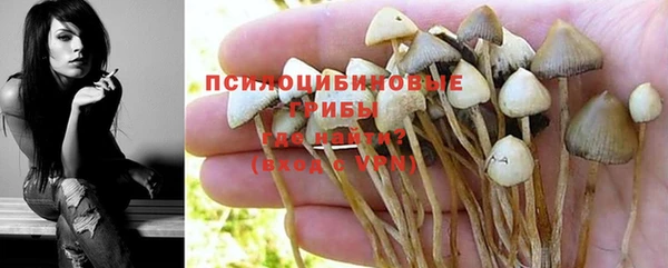 ALPHA-PVP Рославль