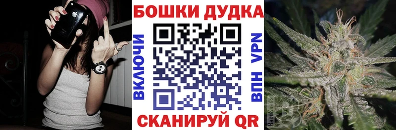 Конопля ГИДРОПОН  как найти наркотики  Дмитровск 